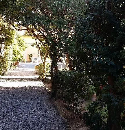 Apartment Salvini Marina Di Pisa