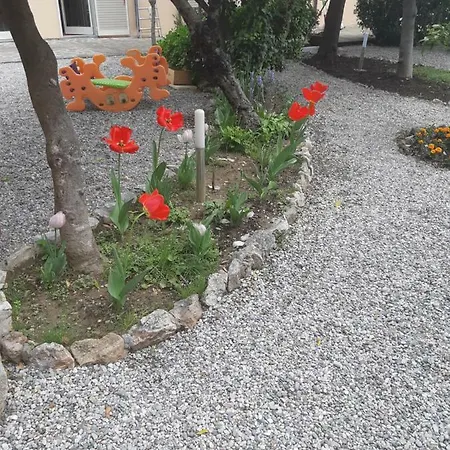 Salvini