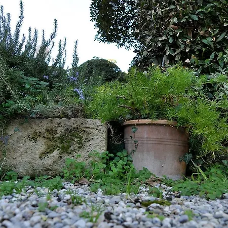 Appartement Salvini Marina Di Pisa