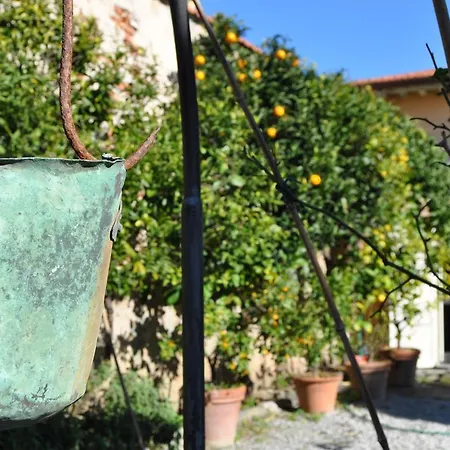 Salvini Apartment Marina Di Pisa